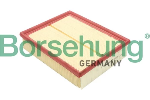 Oro filtras Borsehung B12804