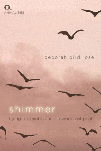 Shimmer
