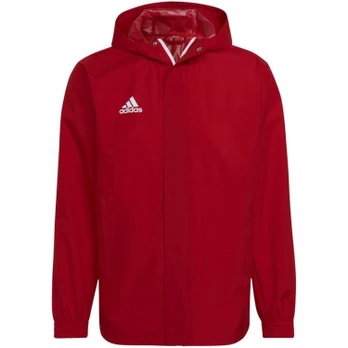 Adidas striukė