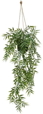 Kabantis bambukas vazone LIORA, 67 cm