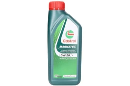 Variklio alyva CASTROL 15FD09 kaina