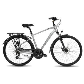 Bicycle ROMET Wagant 2, gray (L)