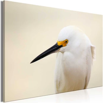 Artgeist Paveikslas - Snowy Egret (1 Part) Wide