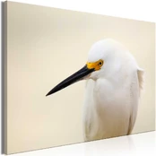 Artgeist Paveikslas - Snowy Egret (1 Part) Wide kaina