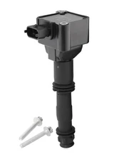 Ritė, uždegimas BorgWarner (BERU) ZS178