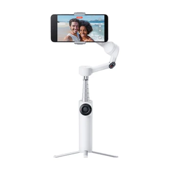Insta360 Flow 2 Standard Bundle / Summit Baltas