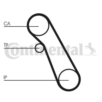 CONTI CT 983 WP1 Timing kit (belt+ pulley+ water pump)