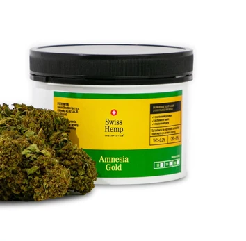 Swiss Hemp Amnesia Gold CBD Kanapių Žiedai