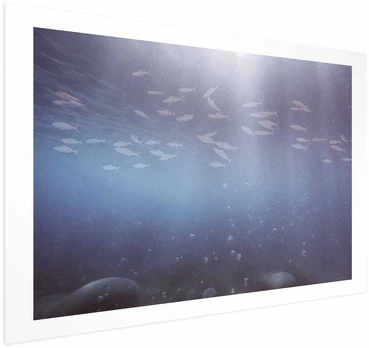 Artgeist Plakatas - Fish in the Depths