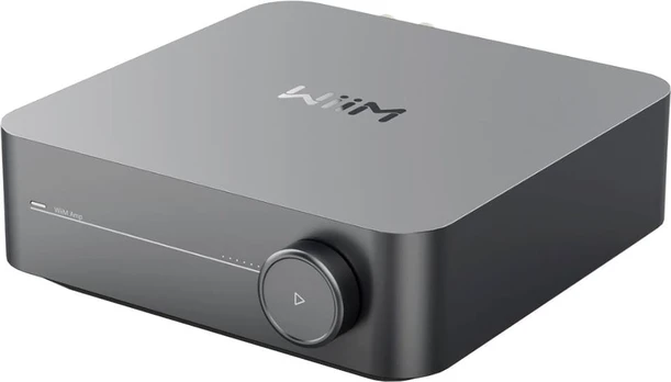 Wiim Amp Pro Home Grey