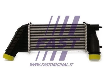 Tarpinis suslėgto oro aušintuvas, kompresorius FAST FT55515