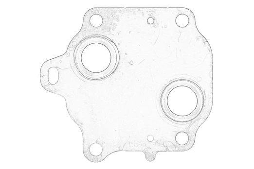 Alyvos radiatoriaus tarpinė 264202U001