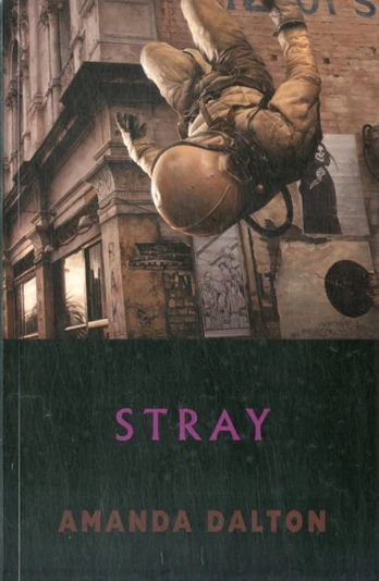 Stray 