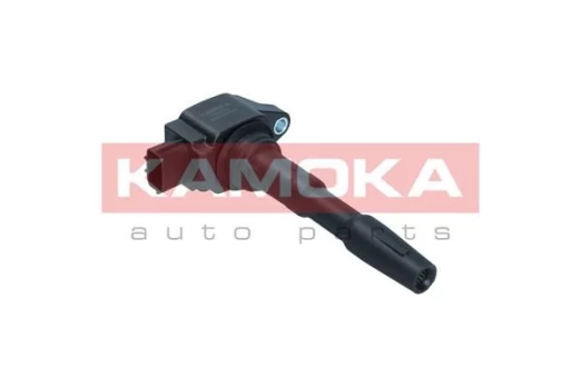Ritė, uždegimas KAMOKA 7120084