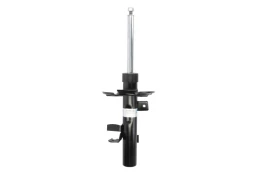 BILSTEIN 22-255969 Shock absorber kaina