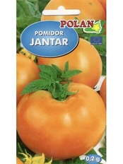 Pomidorai Jantar