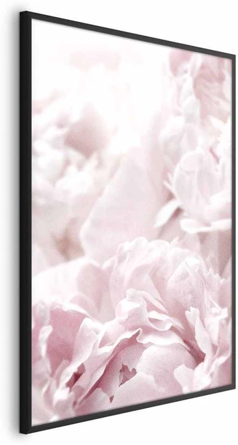 Artgeist Plakatas - Fluffy Peonies
