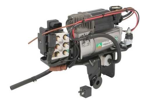 Kompresorius, suspausto oro sistema Arnott P-3302
