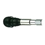 ⬡ Chromuotas ventilis (100 vnt.) (TR413C)