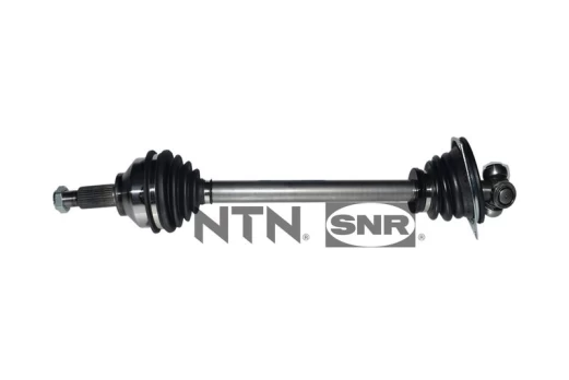 Pusašis SNR DK55.263