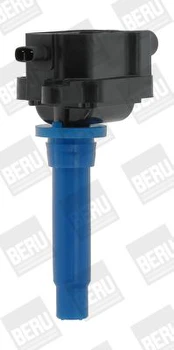 Ritė, uždegimas BorgWarner (BERU) ZS433