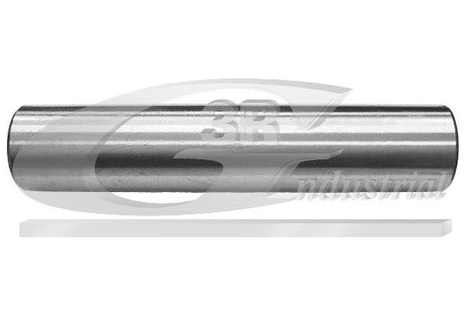 Vairo trauklės įvorė 3RG 45235