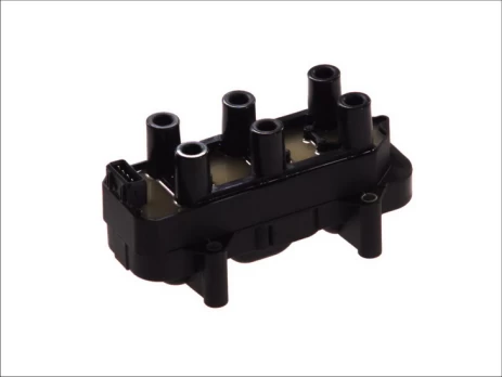 Ritė, uždegimas MAGNETI MARELLI 060717076012