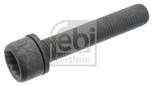 Varžtas, stabdžių apkaba FEBI BILSTEIN 48817