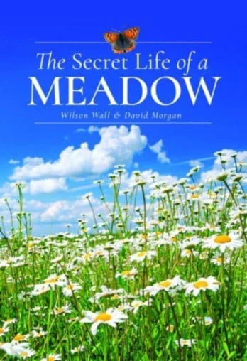 Secret Life of a Meadow