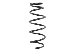 Pakabos spyruoklė R11021 kaina