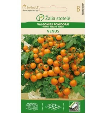 Valgomieji pomidorai Venus