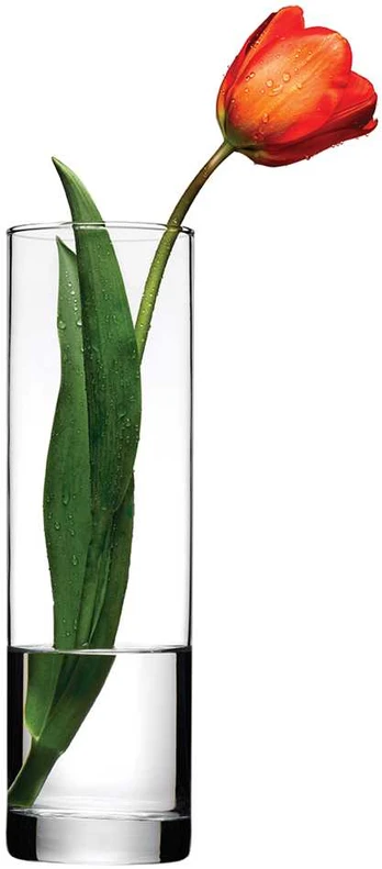 Wazon na kwiaty Flora 26,5 cm PASABAHCE
