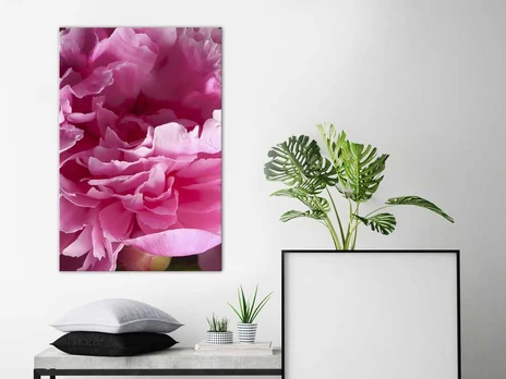 Artgeist Paveikslas - Beautiful Peonies (1 Part) Vertical