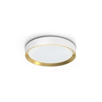 Hanno ceiling SS RD 24W 27K W_G gaismeklis