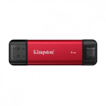 Kingston SSD DualPortable 1TB