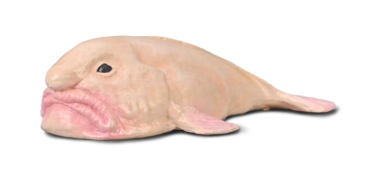 COLLECTA figūrėlė Blobfish, 80037
