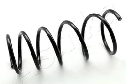 Spyruoklė ASHIKA ZCA3572G