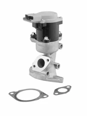 ERG vožtuvas BorgWarner (Wahler) 710976D