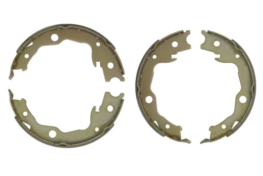 DELPHI LS1999 Brake shoe set
