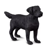 COLLECTA Labradoro retriveris (M) 88076 kaina