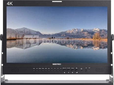 Monitorius SEETEC P215-9HSD
