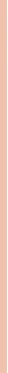 Essence Make-up Silky Cushion Foundation 12 g