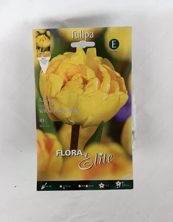 Tulpės Yellow Pomponette, 10 vnt.