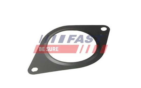 Tarpiklių rinkinys, dujų išmetimo sistema FAST FT84828