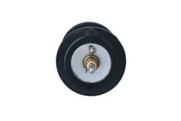 Termostatas, aušinimo skystis NRF 725250