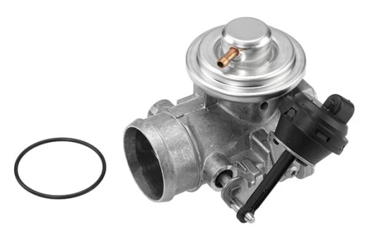 ERG vožtuvas BorgWarner (Wahler) 7223D/1
