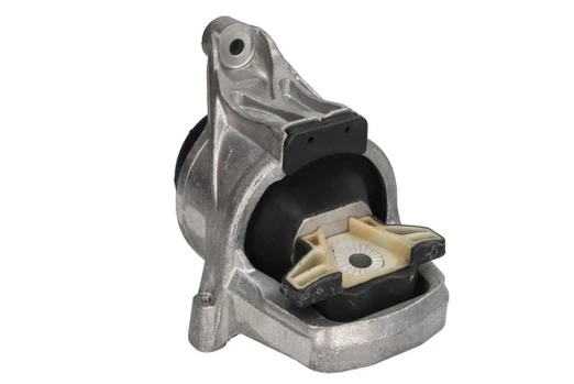 Variklio montavimas TEDGUM TED15645
