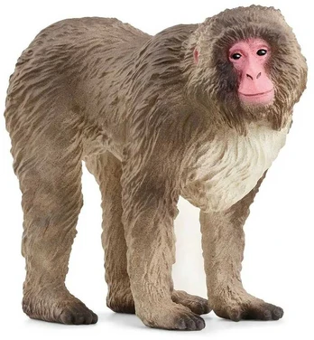 Schleich Figūrėlė makak japoński Wild Life
