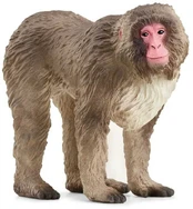 Schleich Figūrėlė makak japoński Wild Life kaina