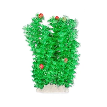 Folijos augalas 20cm 2f14 Happet